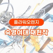 울산플라워미술학원 2023 숙명여자대학교 합격작