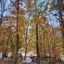 140th camping 청도 참나무숲 오토캠핑장