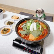김포 애견운동장 있는 애견동반식당 닭향 강아지랑 갈만한곳 개별룸 있음