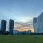 [싱가포르] 싱가폴 교환학생 1월 2주차 일상