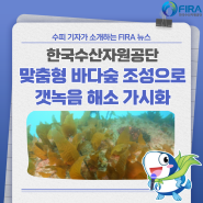 [FIRA 뉴스] 한국수산자원공단, 맞춤형 바다숲 조성으로 갯녹음 해소 가시화