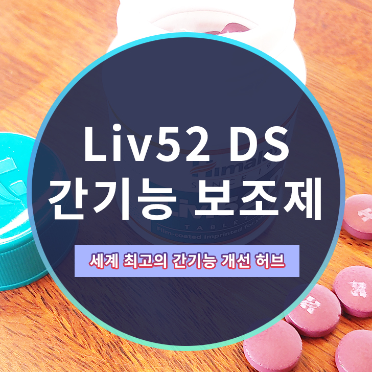 히말라야 리브52 Liv52 DS : 네이버 블로그