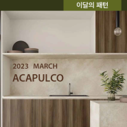 2023 March : 이달의 패턴 ACAPULCO