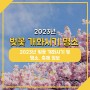 2023 벚꽃 개화시기 명소 및 축제 정보