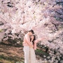 자연스러운 서울 벚꽃 커플스냅 by 헬로나나 필름스냅