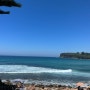 [시드니근교여행] 조개잡이 가능한 아발론비치 Avalon Beach (feat 주저리주저리)