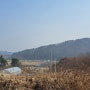여주 토지 / 금사면 주봉산 아래, 인근 남한강 3k, 조용하고 아늑한 전원 부지 165평 매매 - 1억1600만원, 3.3㎡당 70만원대