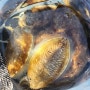 여수 갑오징어 낚시 새로운 포인트 발견