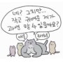수린이 수영일기(+초급수영복 추천,수모, 준비물, 후그닷앤닷 로우 코디)