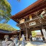 일본여행 2) 메이지신궁, 아후리라멘집