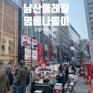 주말 남산공원/명동 나들이