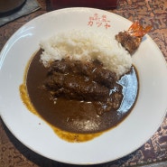 오사카 현지인 맛집) 난바 - 원조 돈까스 카레 카츠야(+메뉴, 가격, 장소)
