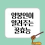 꿀효능에 대해 알아보자