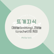 [뜨개 지식] 대바늘(Knitting)과 코바늘(Crochet)의 차이가 무엇인가요?