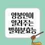 꿀화분의 효능 및 먹는방법