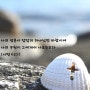 [성경통독] 한나미니스트리 제 50일차, 신명기 21장~24장