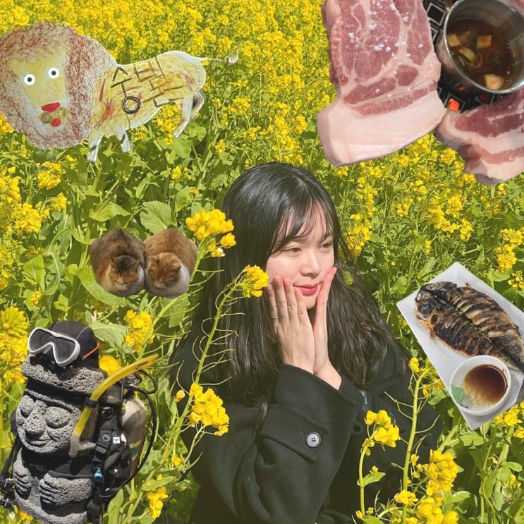 3월 제주여행 금오름 유채꽃명소 용머리해안 사계해안 봉순이네흑돼지 노을명소 신창풍차도로 : 네이버 블로그