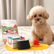 베이컨박스 정기구독 : 2023년 3월 패키지 강아지 장난감 소풍도시락 내돈내산