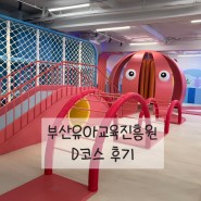 부산유아교육진흥원 두번째, D코스후기