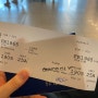 [네덜란드 교환학생🇳🇱] 3월 2주차 일상ㅣ더블린 여행 짐싸기, 라이언에어 비자체크&탑승권 프린트