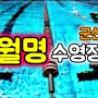 [군산수영장] 월명수영장/자유수영/수영시간/이용가격/주차장