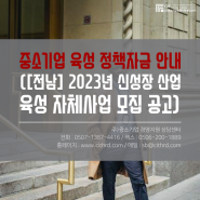 중소기업 육성 정책자금 안내([전남] 2023년 신성장 산업 육성 자체사업 모집 공고)