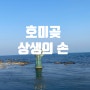 포항 구룡포 여행코스 호미곶 상생의손 바다도 예쁘네요