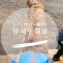 제주도 액티비티와 승마 즐기기 <뷰 제주 하늘>