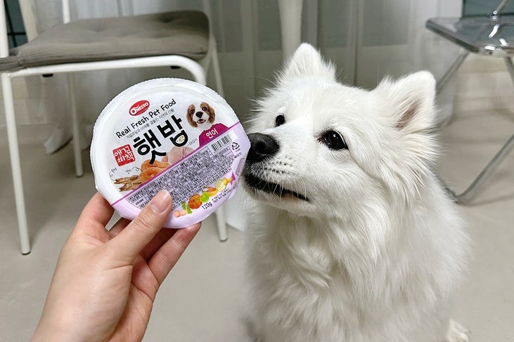 애견비책 햇밥 노령견도 먹기 좋은 부드러운 습식사료 내돈내산 : 네이버 블로그