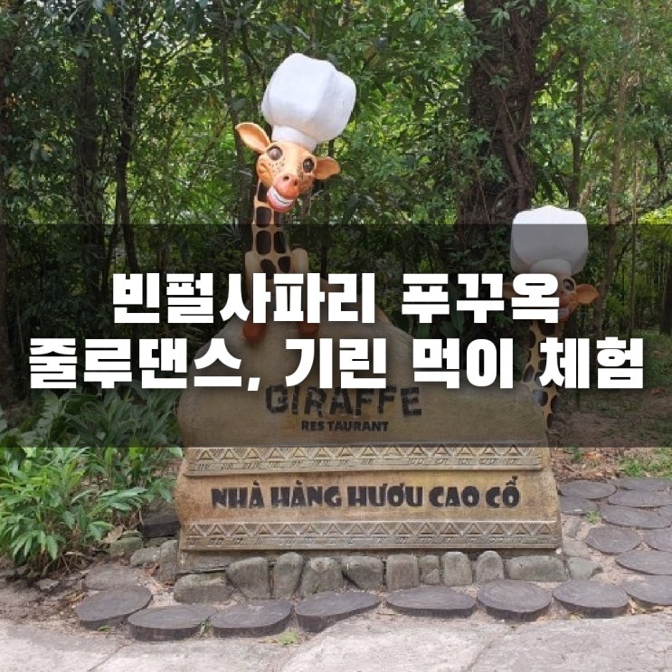 빈펄사파리 푸꾸옥 줄루댄스 그리고 지라프 레스토랑 기린 먹이 주....