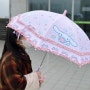 비 오는 주말, 시나모롤 우산 | 하나로마트 스벅 코스