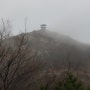 전북 군산 대각산 산행 - 비가 내리는 가운데 신시도 대각산의 산자고를 만나다