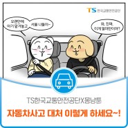 [TS한국교통안전공단X몽냥툰] 자동차사고 대처 이렇게 하세요~!