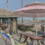 세화 아기랑 카페/ 세화 아기랑 식당: 야외 테라스도 있는 감성공간 '달치즈'에서 따뜻한 시간