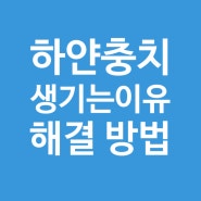 하얀충치는 왜 생길까? 생기는이유와 치료 방법