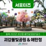 [SNS서포터즈]괴산여행 데이트코스 괴강불빛공원 & 애한정