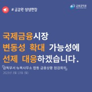금융감독원, 금융상황 점검회의 개최