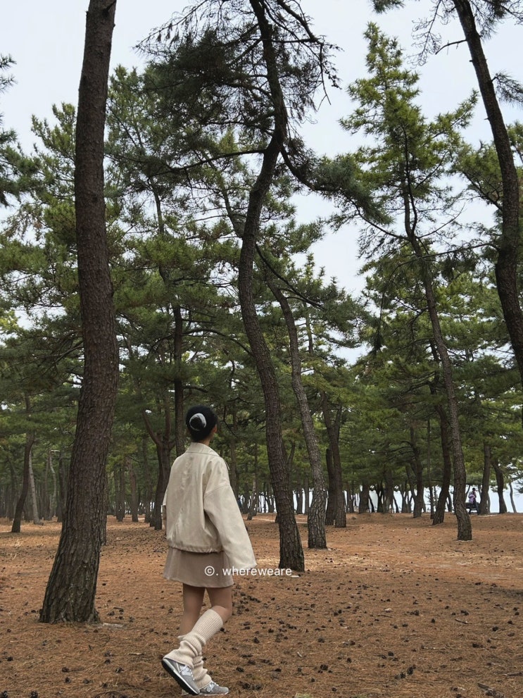 혼자 강릉 1박2일 DAY 2 : 네이버 블로그