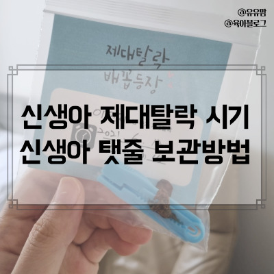신생아 제대탈락시기, 탯줄보관방법(탯줄손발조형 액자 내돈내산 후기) : 네이버 블로그