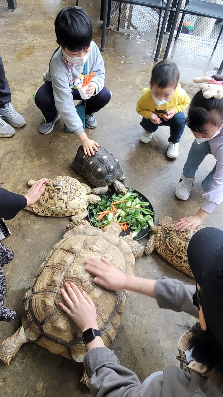 아이와체험하기좋은 곳, 청주 애니멀빌리지. 수암골...