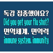 영어로 독감 예방 주사 맞았어요? Did you get your flu shot?