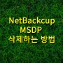 NetBackup MSDP 삭제하는 방법