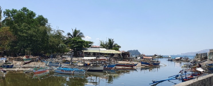 신선한 해산물을 살 수 있는 수빅 시장 Subic Market : 네이버 블로그
