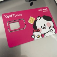 내돈내산 알뜰폰 요금제 LG U+ 인터넷 결합으로 0원에 휴대폰 요금 이용하는 방법! 카드 추천까지~