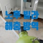 부산바퀴벌레방역 - 오래된 빌라, 이사 전 해충 발견 (수영구 광안동)