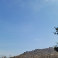 상쾌한 봄날 광교산(582m)을 가다