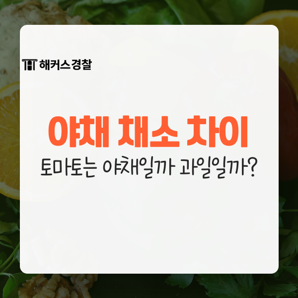 야채 채소 차이! 토마토는 야채일까 과일일까 : 네이버 블로그