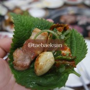 [대구 장기동 맛집] 태백산 왕소금구이 : 장기동 삼겹살 맛집