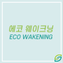 에코 웨이크닝(eco-wakening) 현상 뜻, 빅데이터에 따른 환경관심도 상승