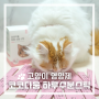 고양이영양제 》 고양이신부전 케어 츄르영양제 "코코다움 하루수분스틱"